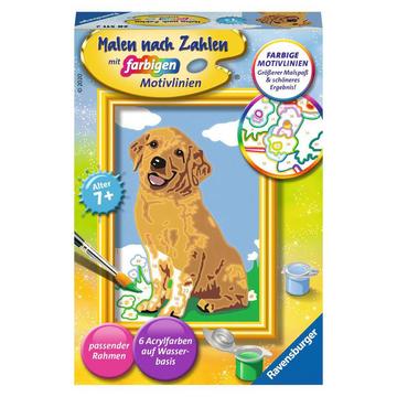 Malen nach Zahlen Kleiner Golden Retriever