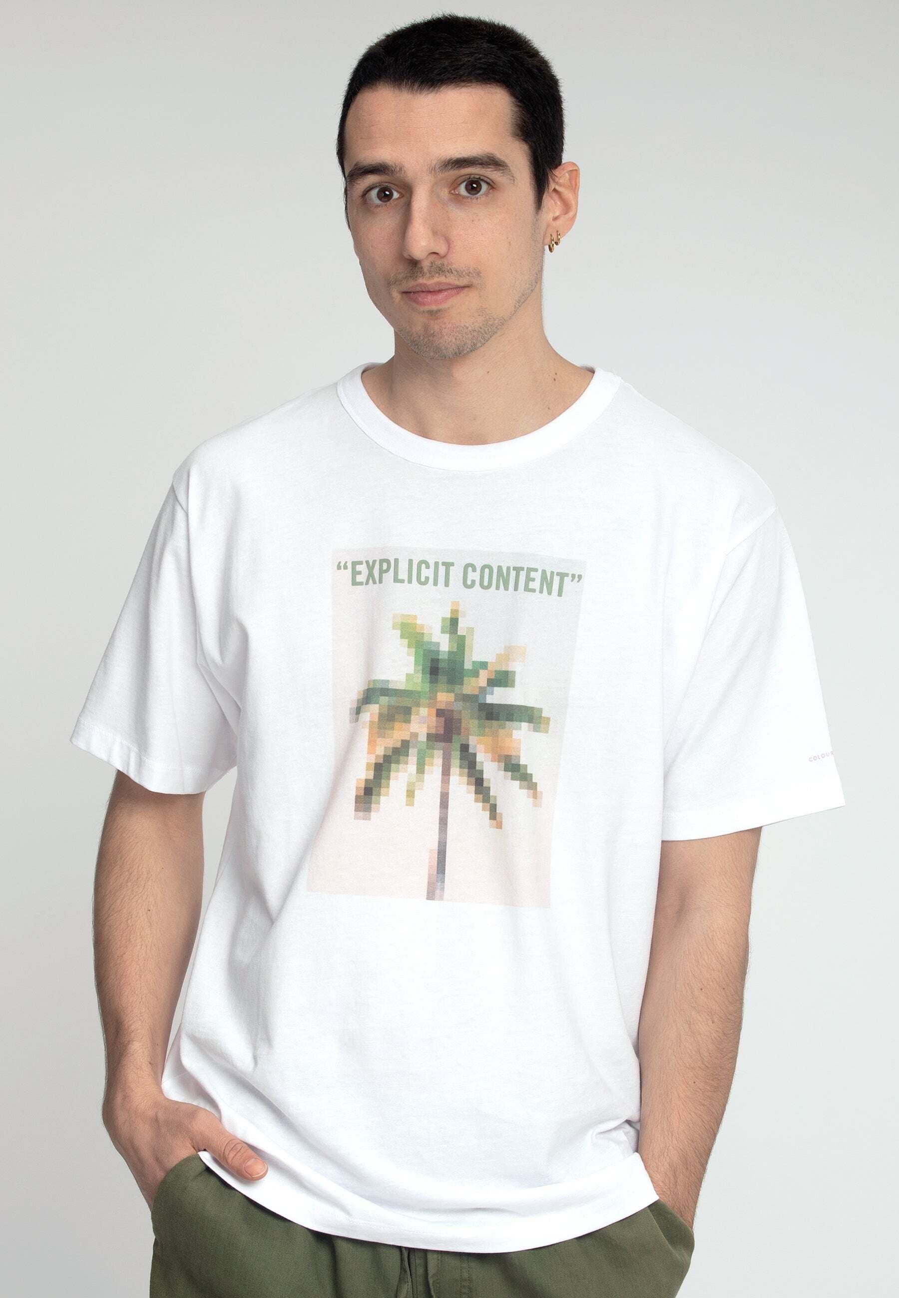 Colours & Sons  T-Shirts T-Shirt Palm Print 