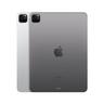 Apple  IPad Pro 256 GB 27,9 cm (11 Zoll)  M 8 GB Wi-Fi 6E (802.11ax) iPadOS 16 Grau 