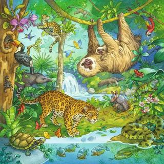 Ravensburger  Puzzle Ravensburger Im Urwald 3 X 49 Teile 