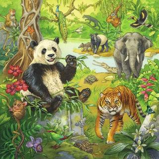 Ravensburger  Puzzle Ravensburger Im Urwald 3 X 49 Teile 