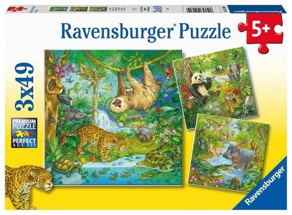 Ravensburger  Puzzle Ravensburger Im Urwald 3 X 49 Teile 