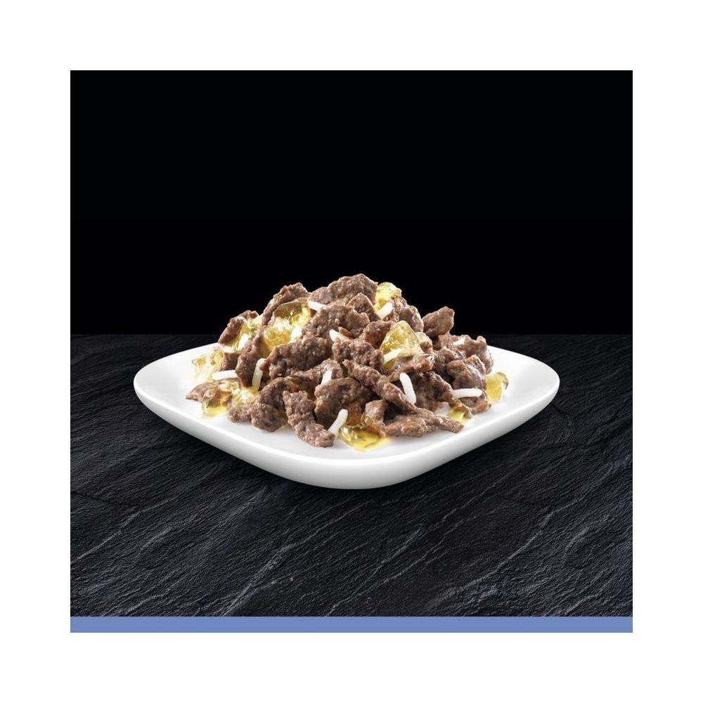 Cesar  Pouch Senior 10+ 