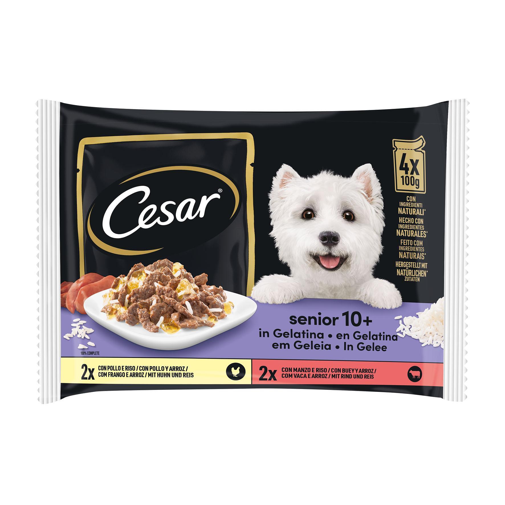 Cesar  Pouch Senior 10+ 