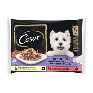 Cesar  Pouch Senior 10+ 