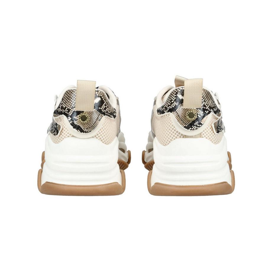 STEVE MADDEN Sneaker à imprimé serpent et détails métalliques  