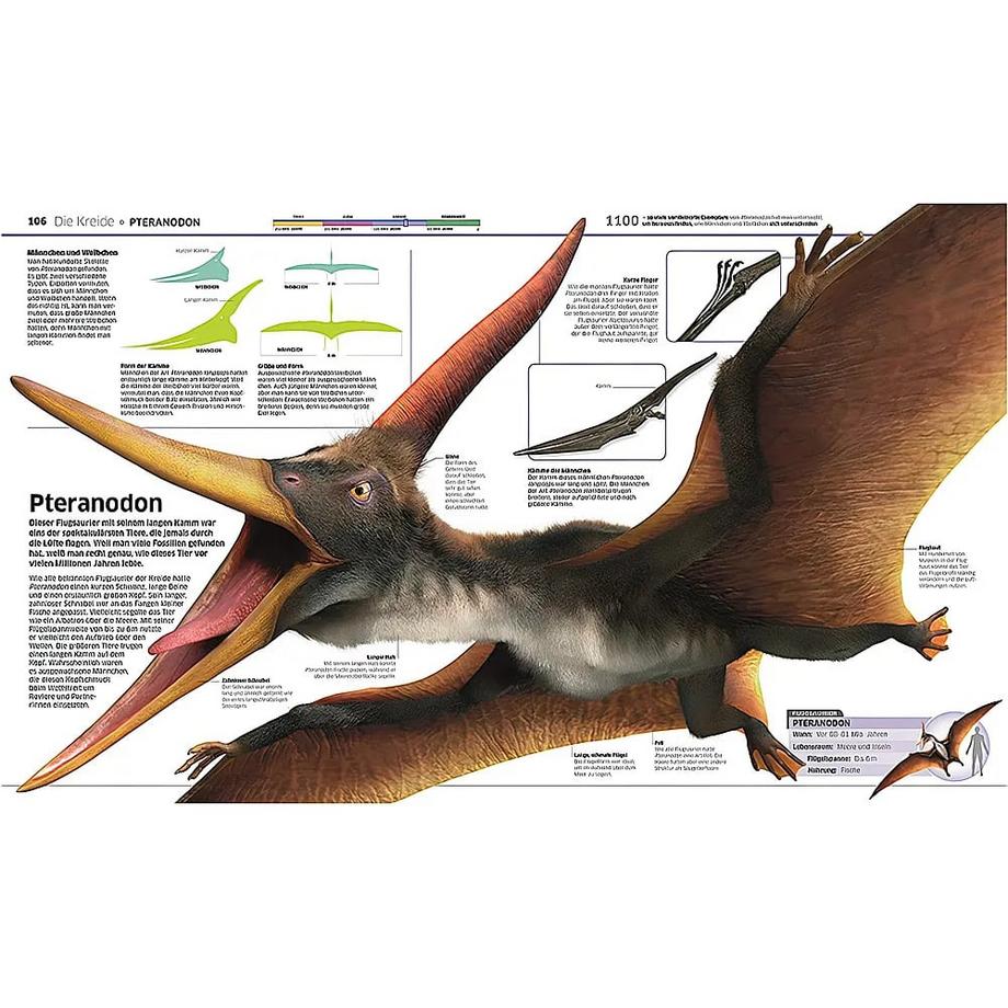 DK Wissen. Dinosaurier Woodward, John Gebundene Ausgabe 