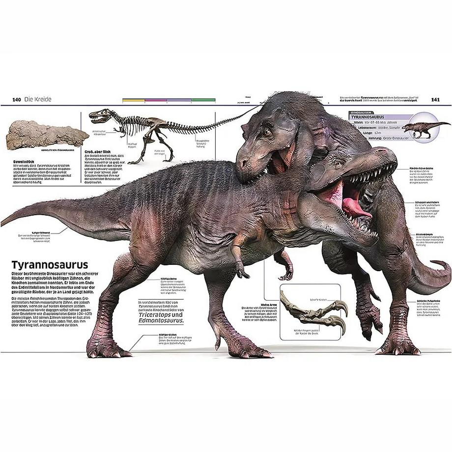 DK Wissen. Dinosaurier Woodward, John Gebundene Ausgabe 