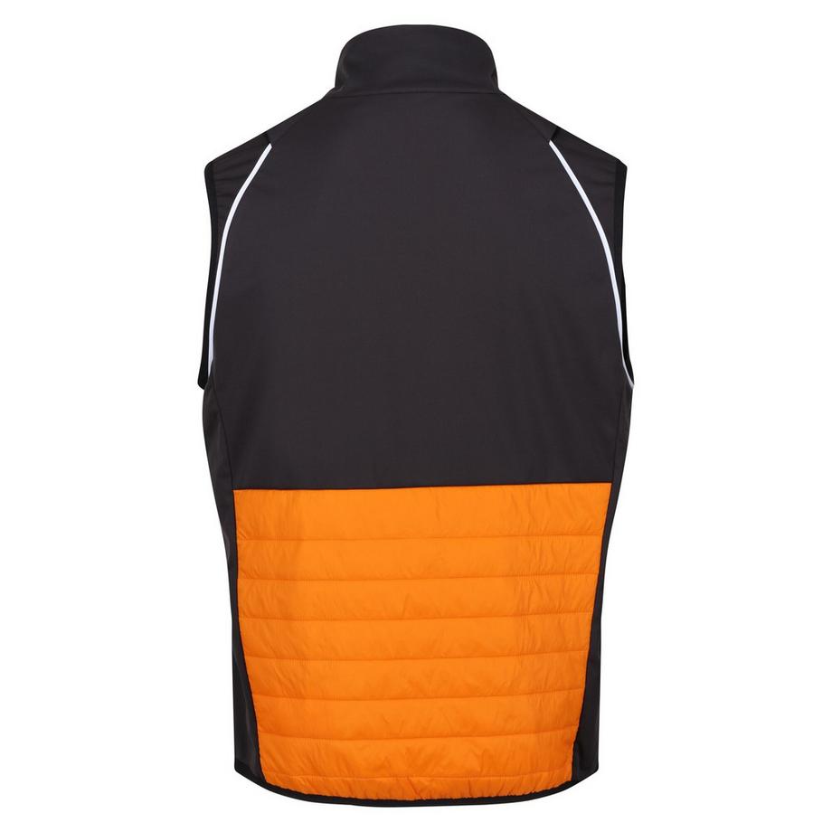 Regatta Veste softshell Steren Hybrid  
