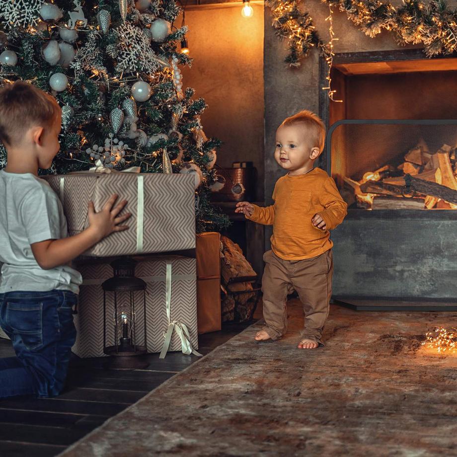 B2X  Funkenschutz für Kamin 