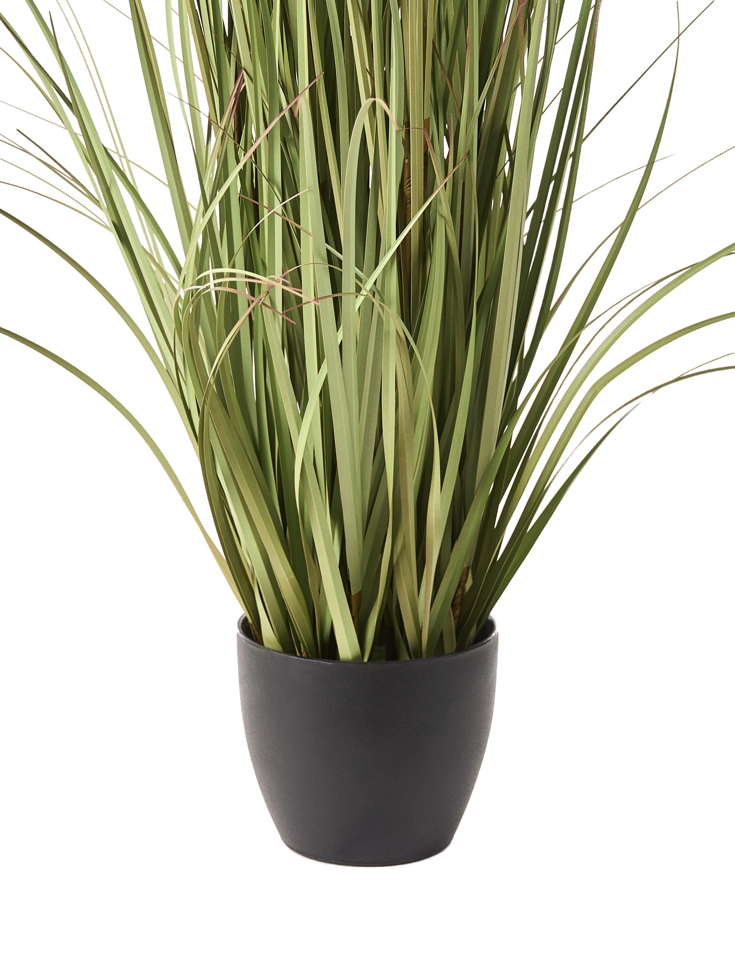 Beliani Pianta artificiale en Materiale sintetico Scandinavo POMPOM GRASS  