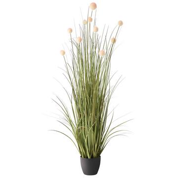 Plante artificielle en Matière synthétique Scandinave POMPOM GRASS