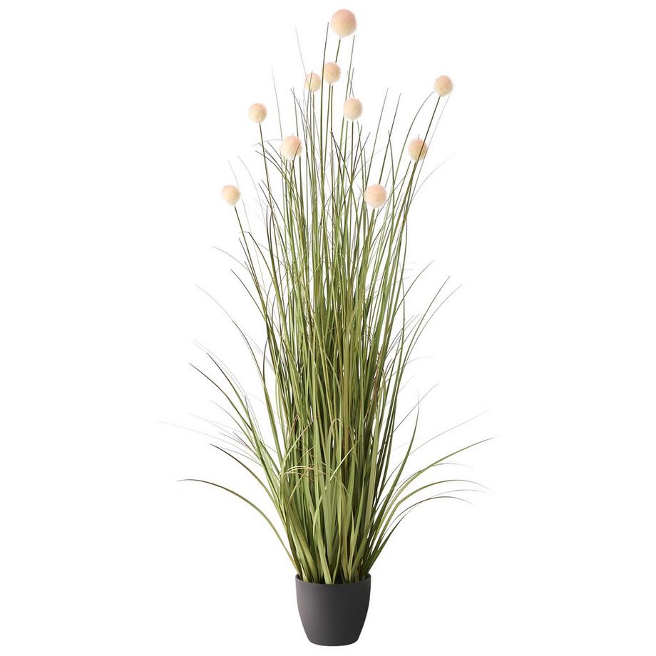 Plante artificielle en Matière synthétique Scandinave POMPOM GRASS
