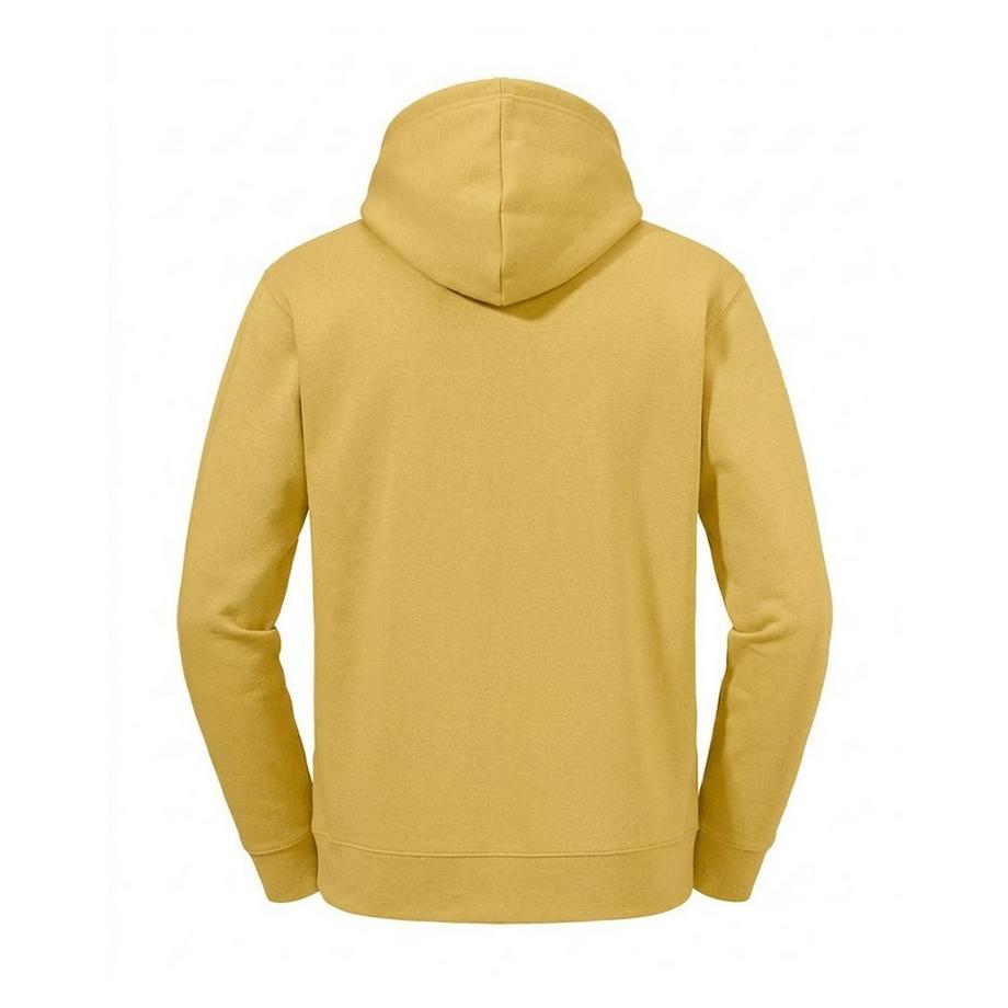 Russell Sweat À Capuche Authentic  