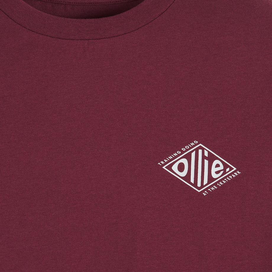 La Redoute Collections  Lot de 3 pyjamas en coton 