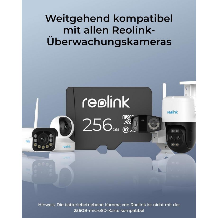Reolink  Scheda micro SD da 256 GB 