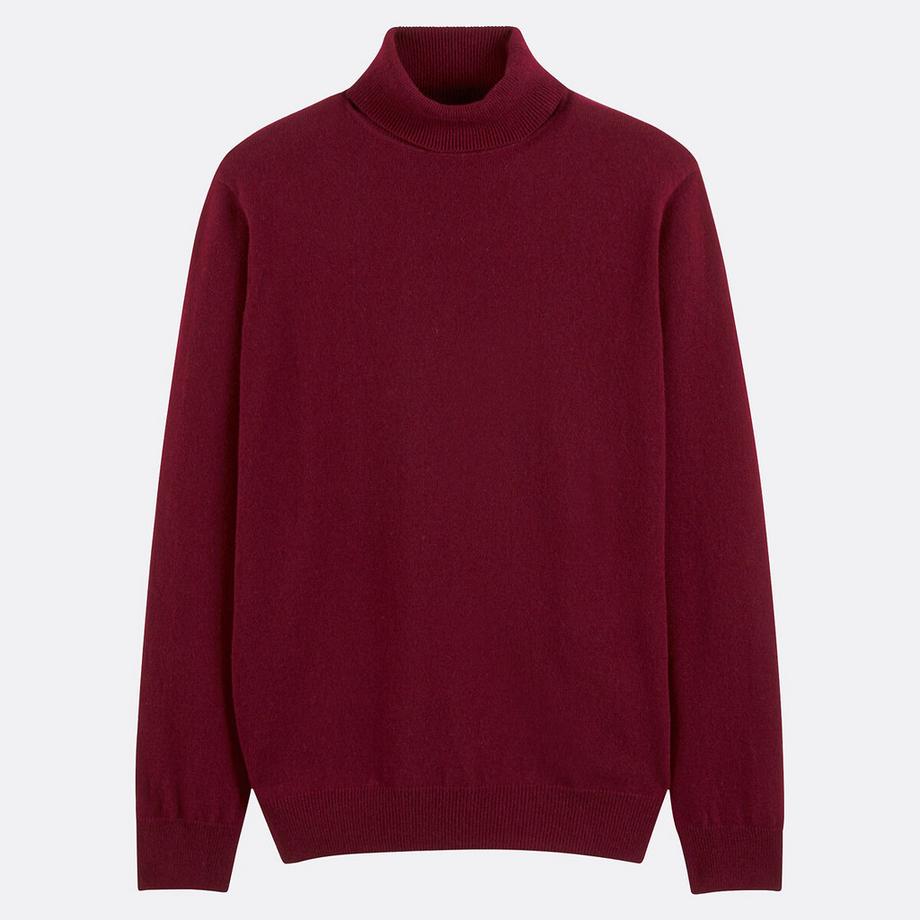 La Redoute Collections Maglione dolcevita in cashmere  