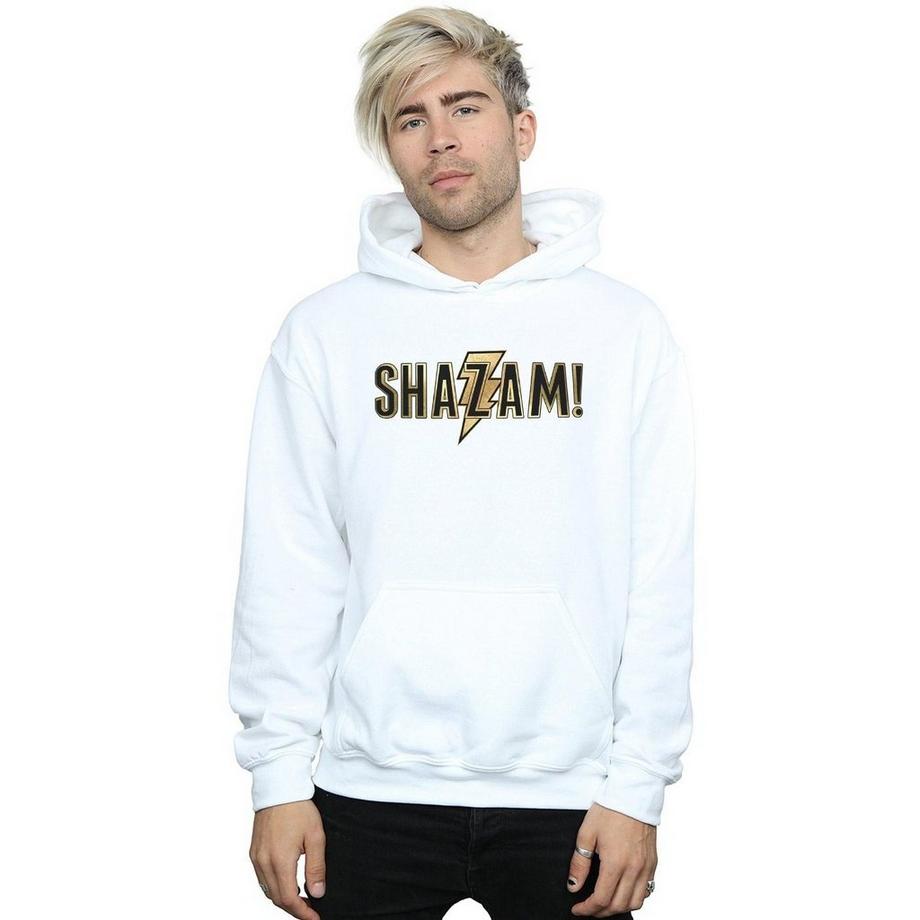 DC COMICS Shazam Logo Sweat à Capuche  