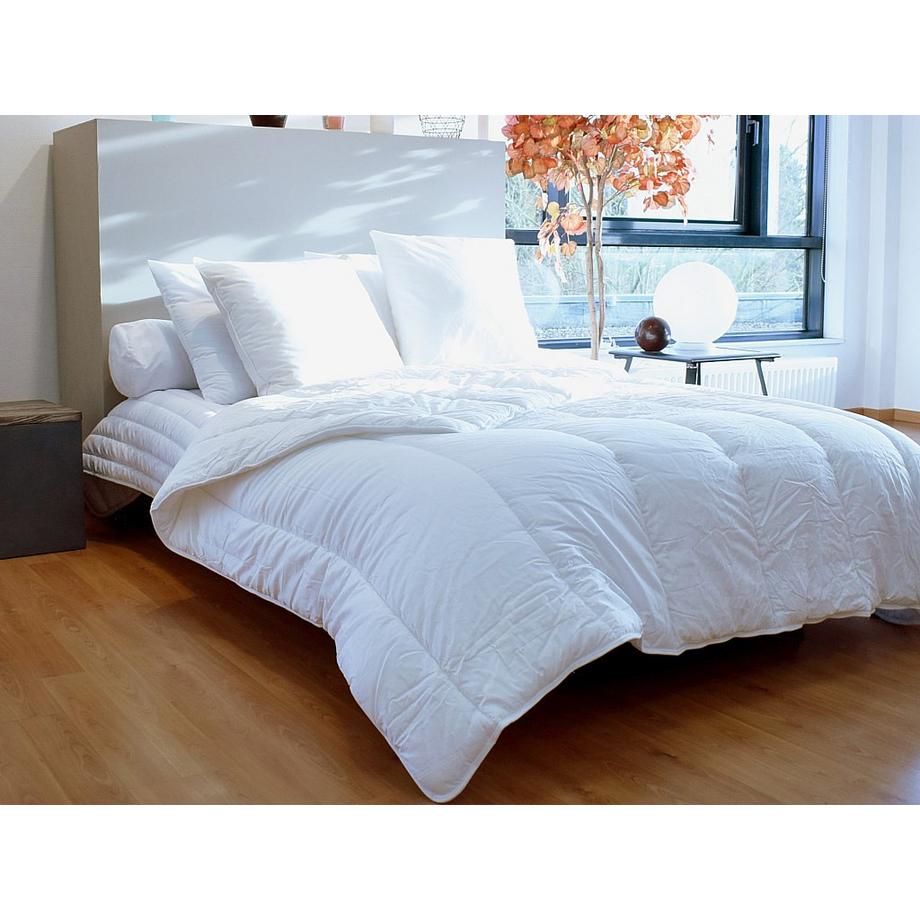 Vente-unique AZYLIA Cuscino Anti-Acaro 550 gr 60 x 60 cm  