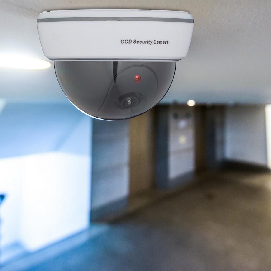 B2X  Kamera-Attrappe in Kuppelform 