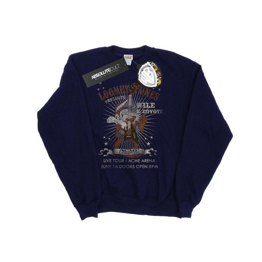 LOONEY TUNES Wile E Coyote Grafikdruck Sweatshirt  