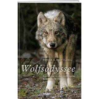 Wolfsodyssee Dettling, Peter A. Gebundene Ausgabe 