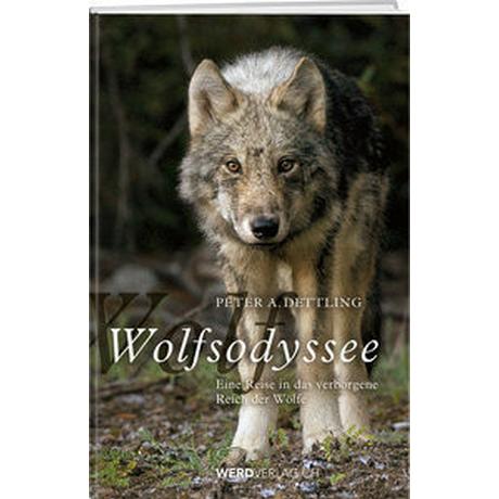 Wolfsodyssee Dettling, Peter A. Gebundene Ausgabe 