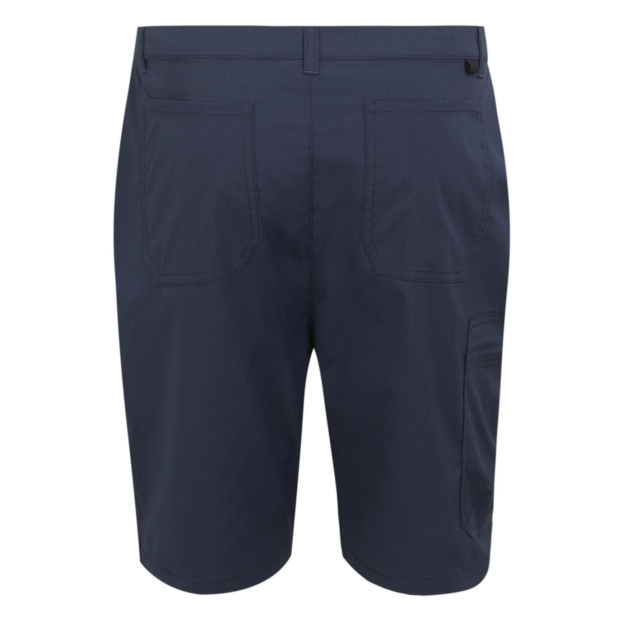 Regatta  Short DALRY 