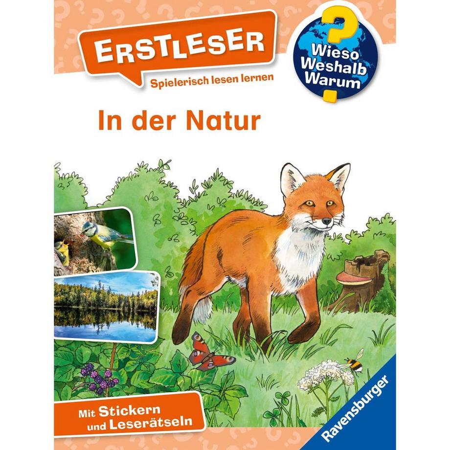 Wieso? Weshalb? Warum? Erstleser, Band 10: In der Natur von Kessel, Carola; Vohwinkel, Astrid (Illustrationen) Gebundene Ausgabe 