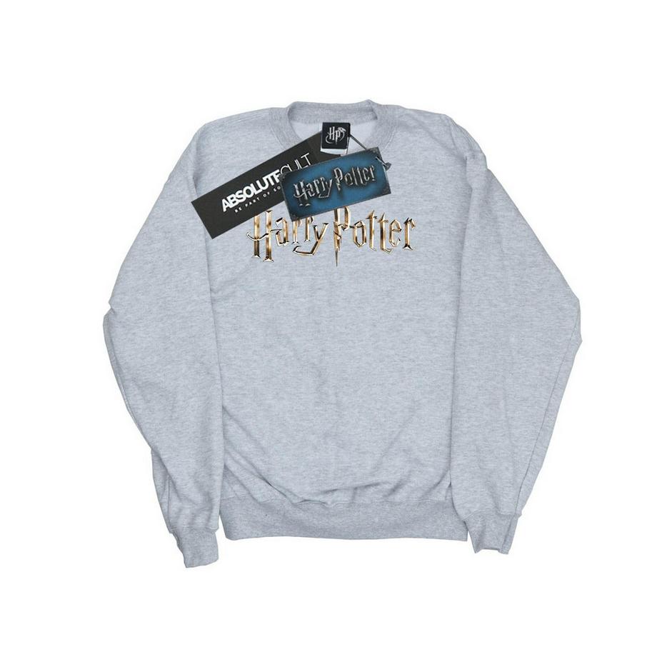 Harry Potter Logo Rundhals-Sweatshirt  