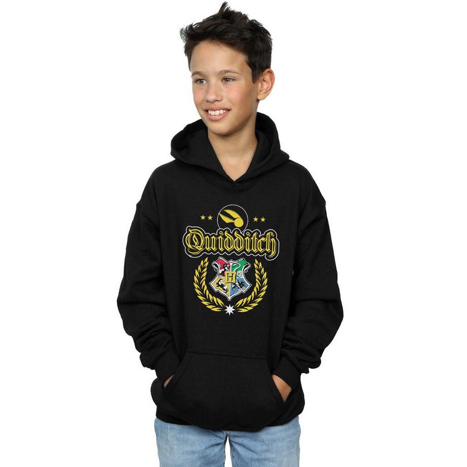 Harry Potter  Sweat à capuche QUIDDITCH 
