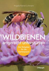 Wildbienen artgerecht unterstützen Niebel-Lohmann, Angela K. Couverture rigide 