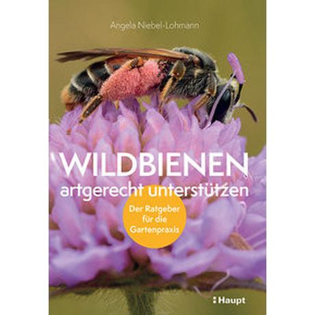 Wildbienen artgerecht unterstützen Niebel-Lohmann, Angela K. Couverture rigide 