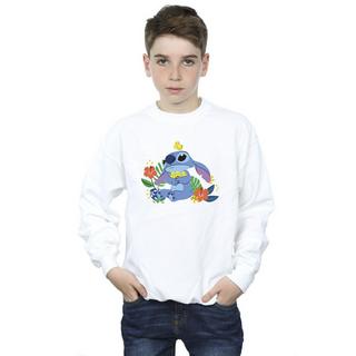 Disney  Sweat 