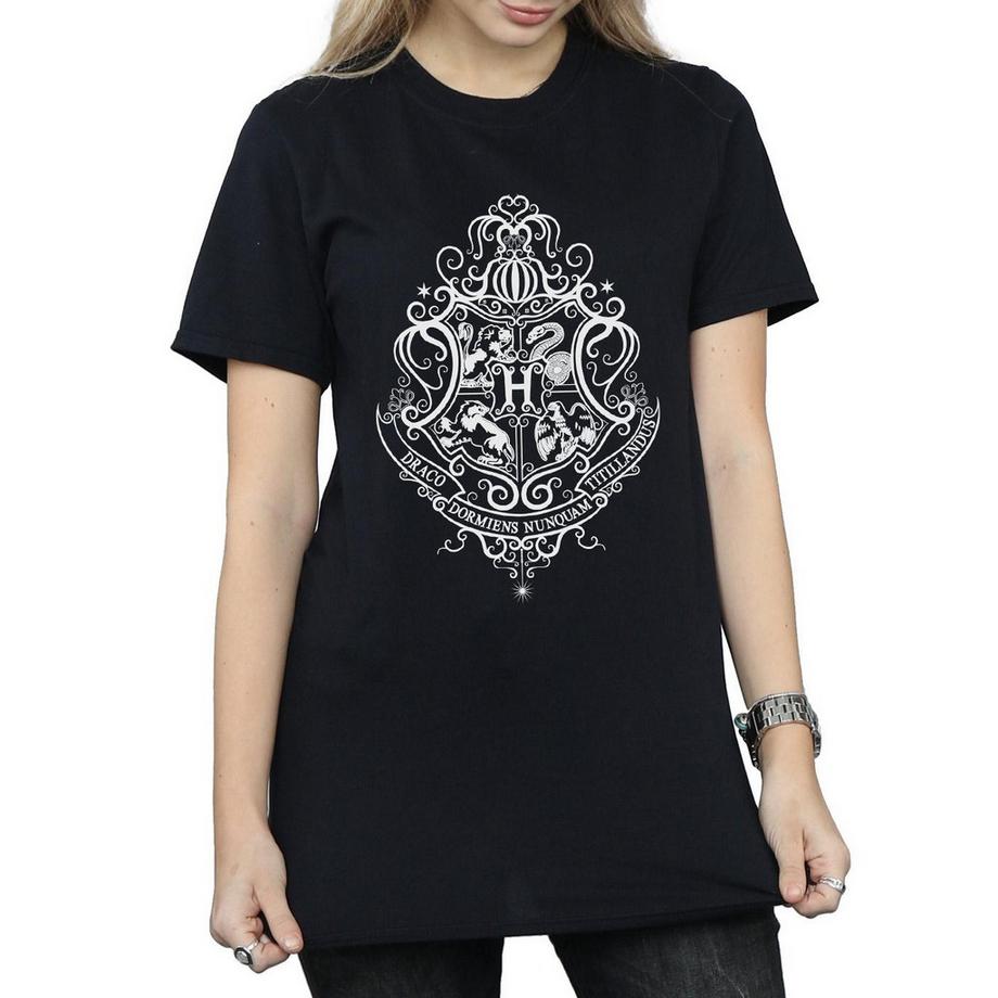 Harry Potter Hogwarts Draco Dormiens T-Shirt  