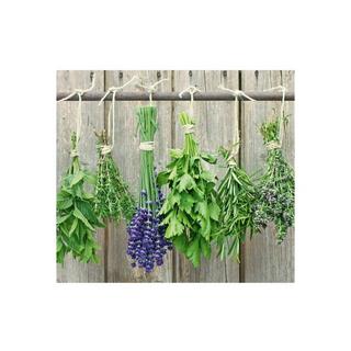 Zeller Present ZELLER PRESENT  