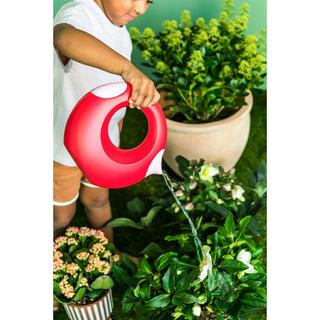 Quut  Cana, red Cherry 1.0 Liter 