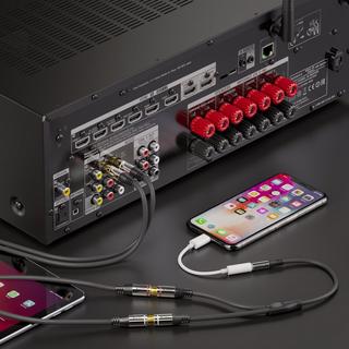 sonero  sonero S-ACA003 Audio-Kabel 0,25 m 3.5mm 2 x RCA Schwarz 