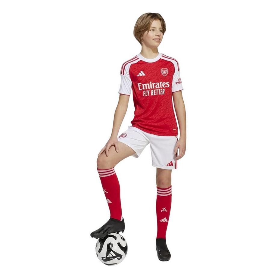 adidas  Short Domicile Motiftyle Arsenal Fc 