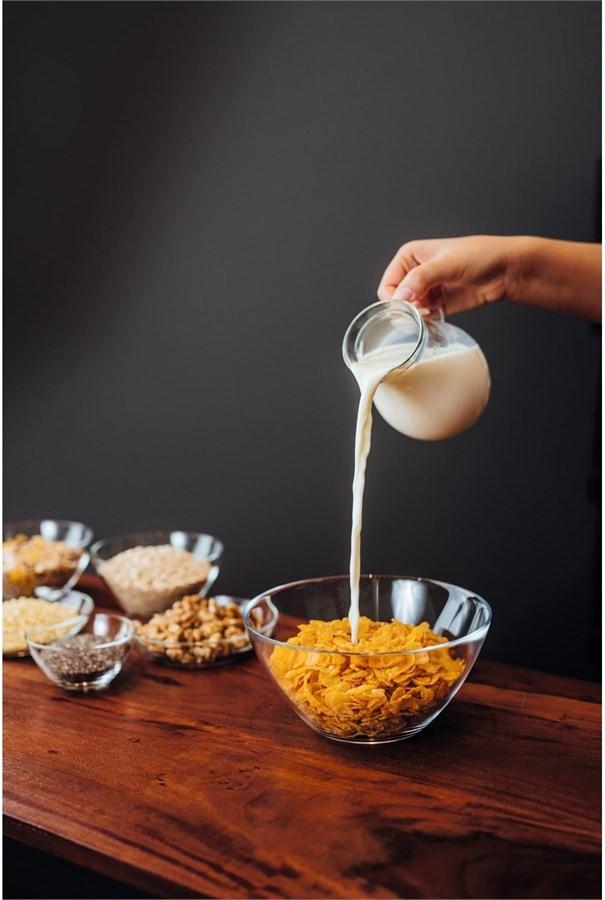 montana Teller Basic 15 cm 12 Stück, HxD: 3x15cm  