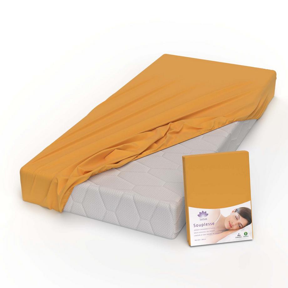 Lotus Bettwaren Souplesse Drap-housse Jersey  