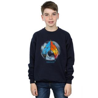 DC COMICS  Sweatshirt 