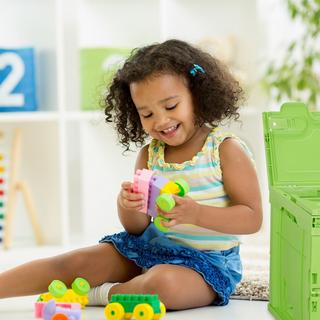 B2X Transportbox 60 Liter mit Deckel  