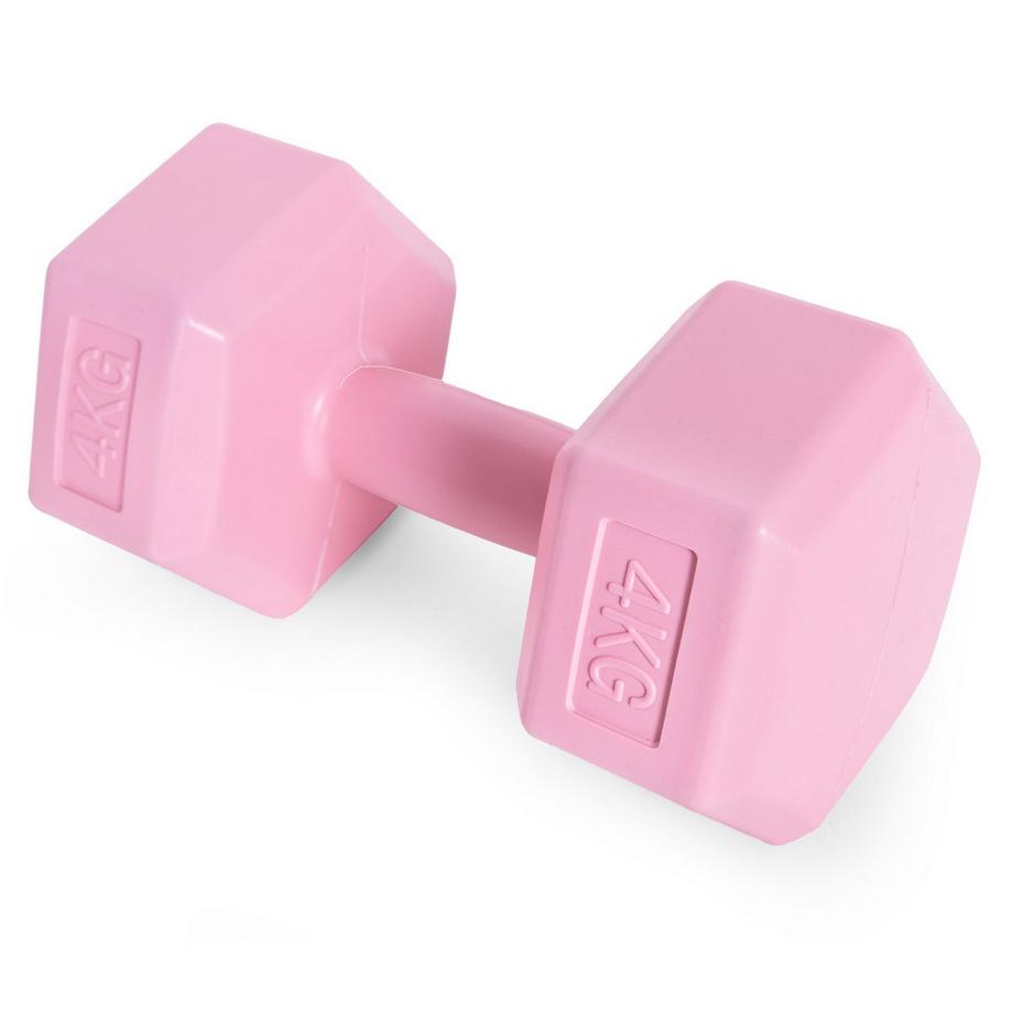 Northio  Jeu d'haltères hexagonaux 2x4 kg, poids d'exercice, charge de fitness, rose, ModernHome 