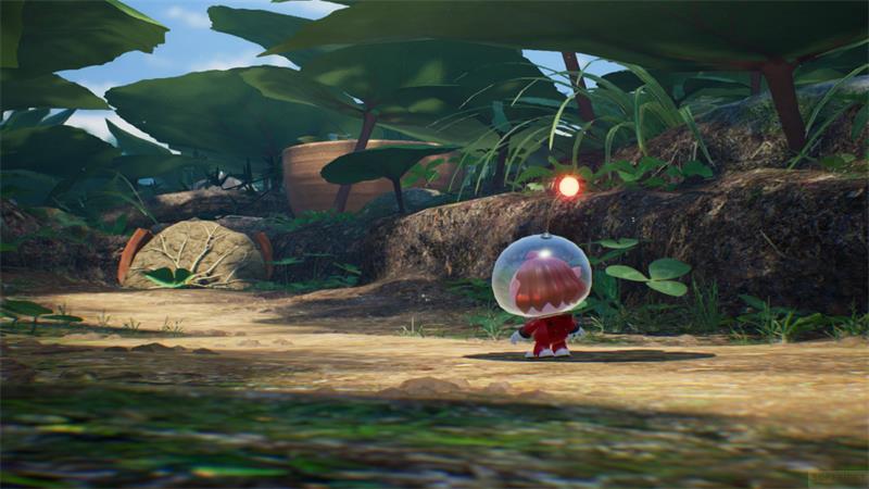 Nintendo  Switch Pikmin 4 