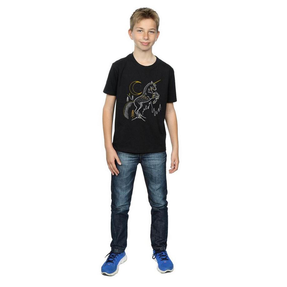 Harry Potter  Tshirt 