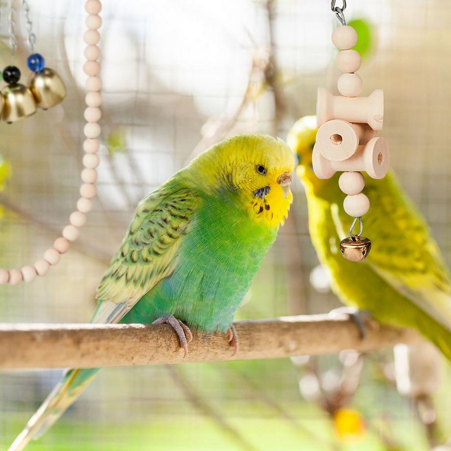 B2X  Vogelspielzeug in 7 Teilen 