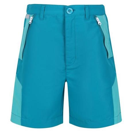 Regatta  Sorcer II Shorts 