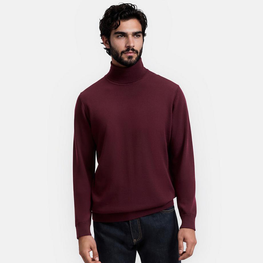 Pull col roulé mérinos