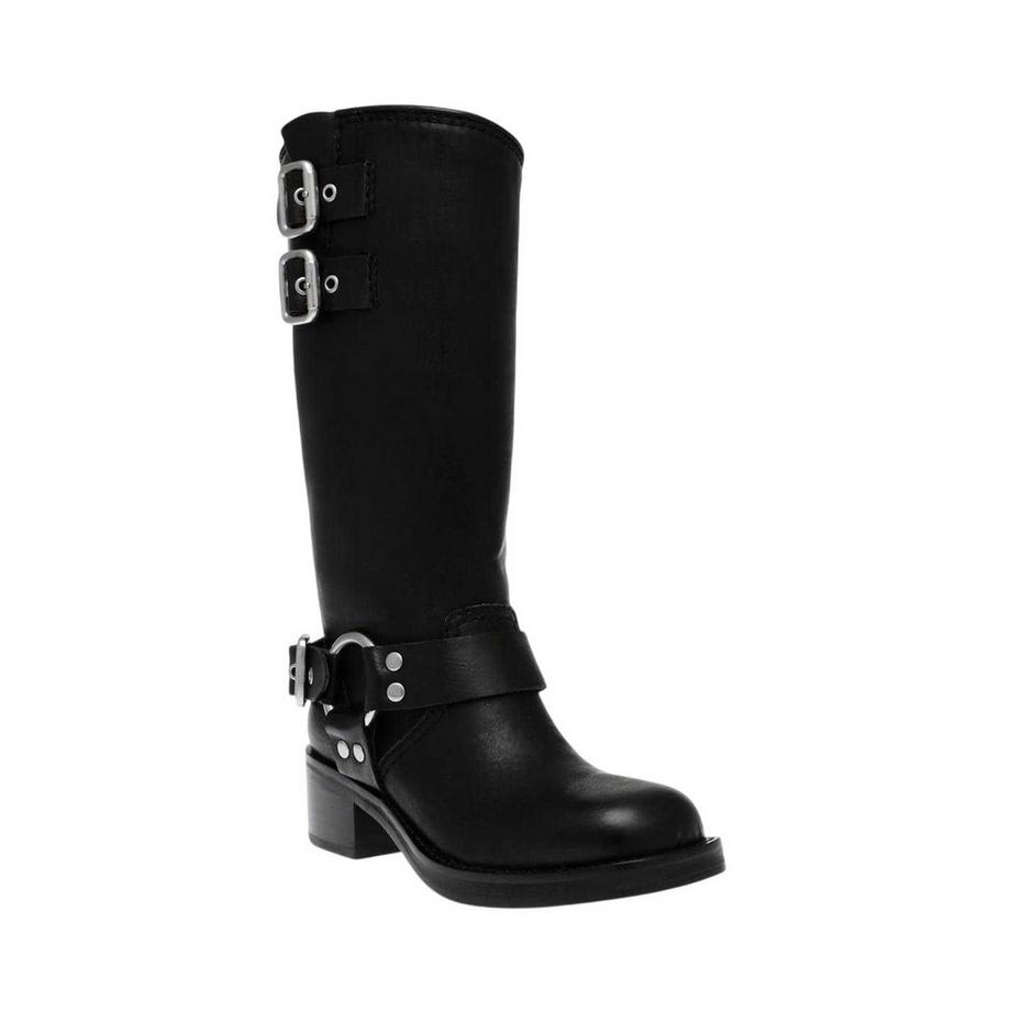 STEVE MADDEN Stivali da Moto Eastern con Fibbie  